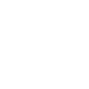 Sniper crosshairs.